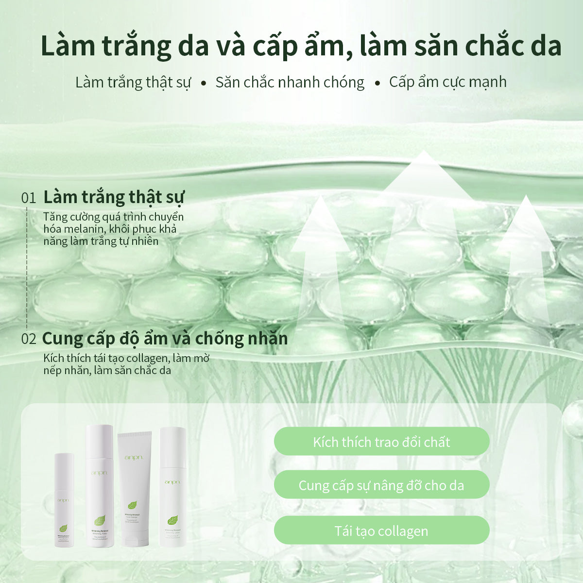 ANPN Glow & Hydration Skincare Set