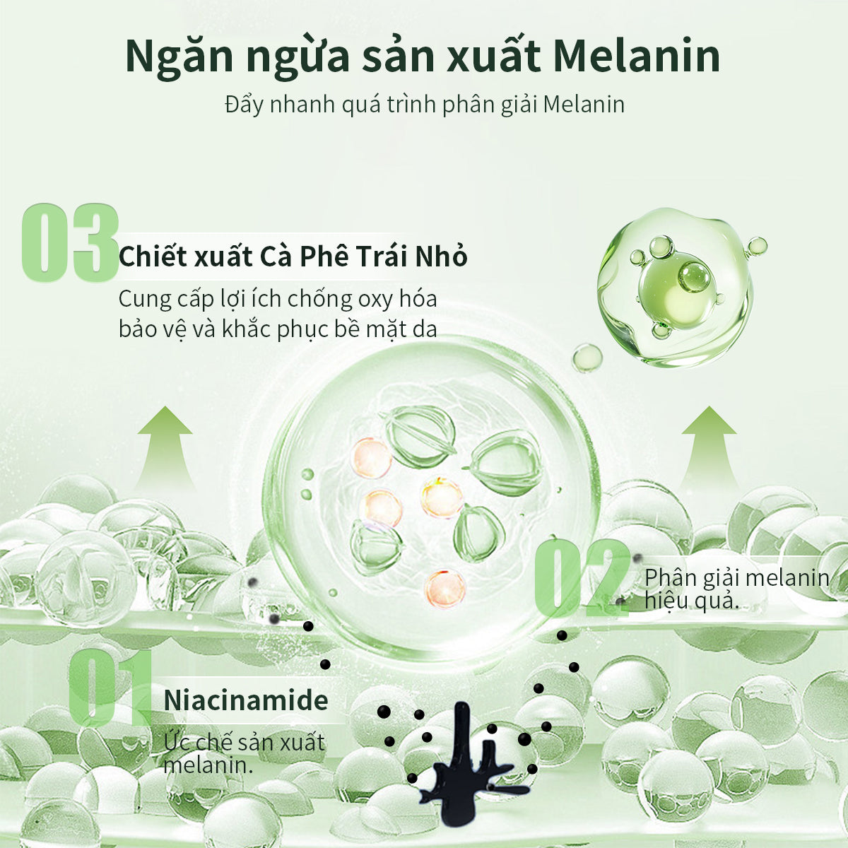 ANPN Gentle Facial Cleanser